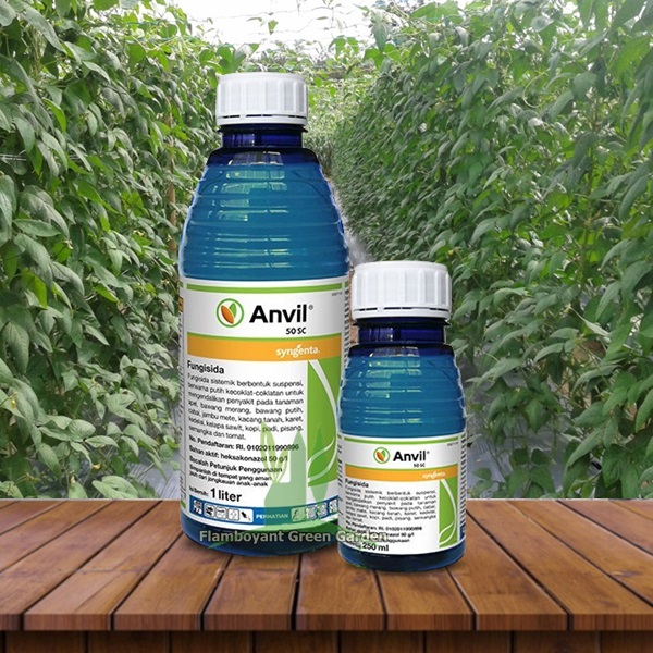Fungisida Anvil 50sc Ampuh Mengendalikan Jamur Segala Tanaman Pertanian 250ml Lazada Indonesia