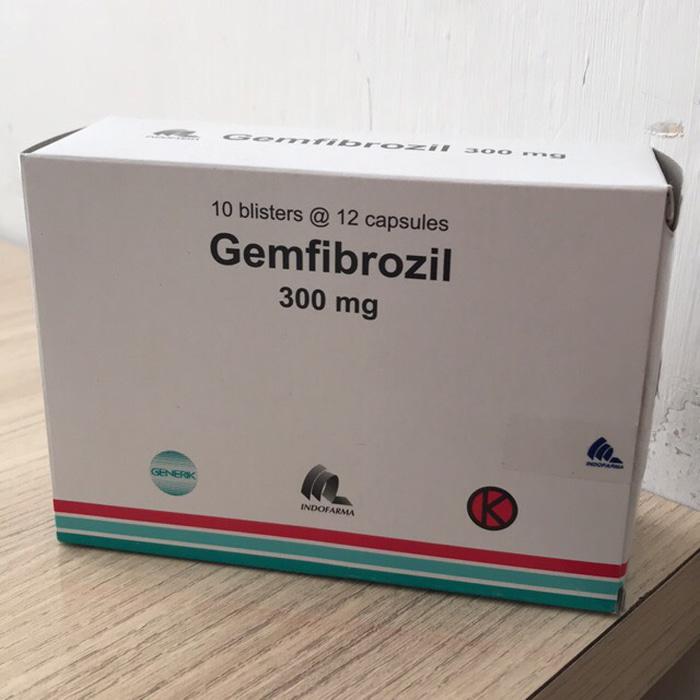 Gemfibrozil 300 mg obat apa