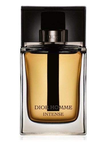 Christian Dior Homme Intense EDP ​​Parfum Pria [100 mL] NON BOX ORI |  Lazada Indonesia