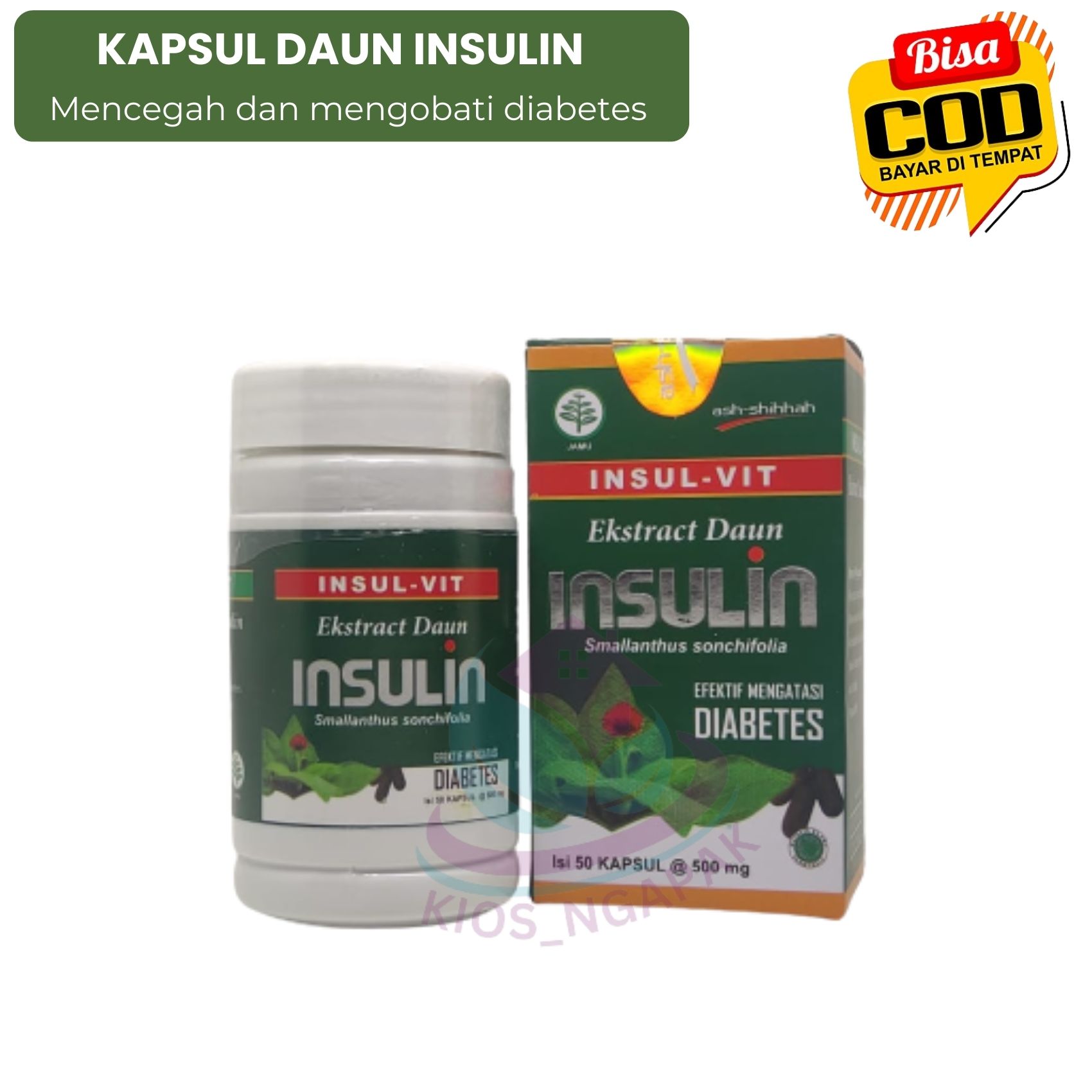 Insul Vit Kapsul Ekstrak Daun Insulin Ash Shihhah Efektif Mencegah Dan Mengobati Diabetes