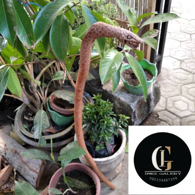 Jinsiy aloqa Natalya Kosteneva jinsiy aloqa Jamiyatdagi kaltaklar