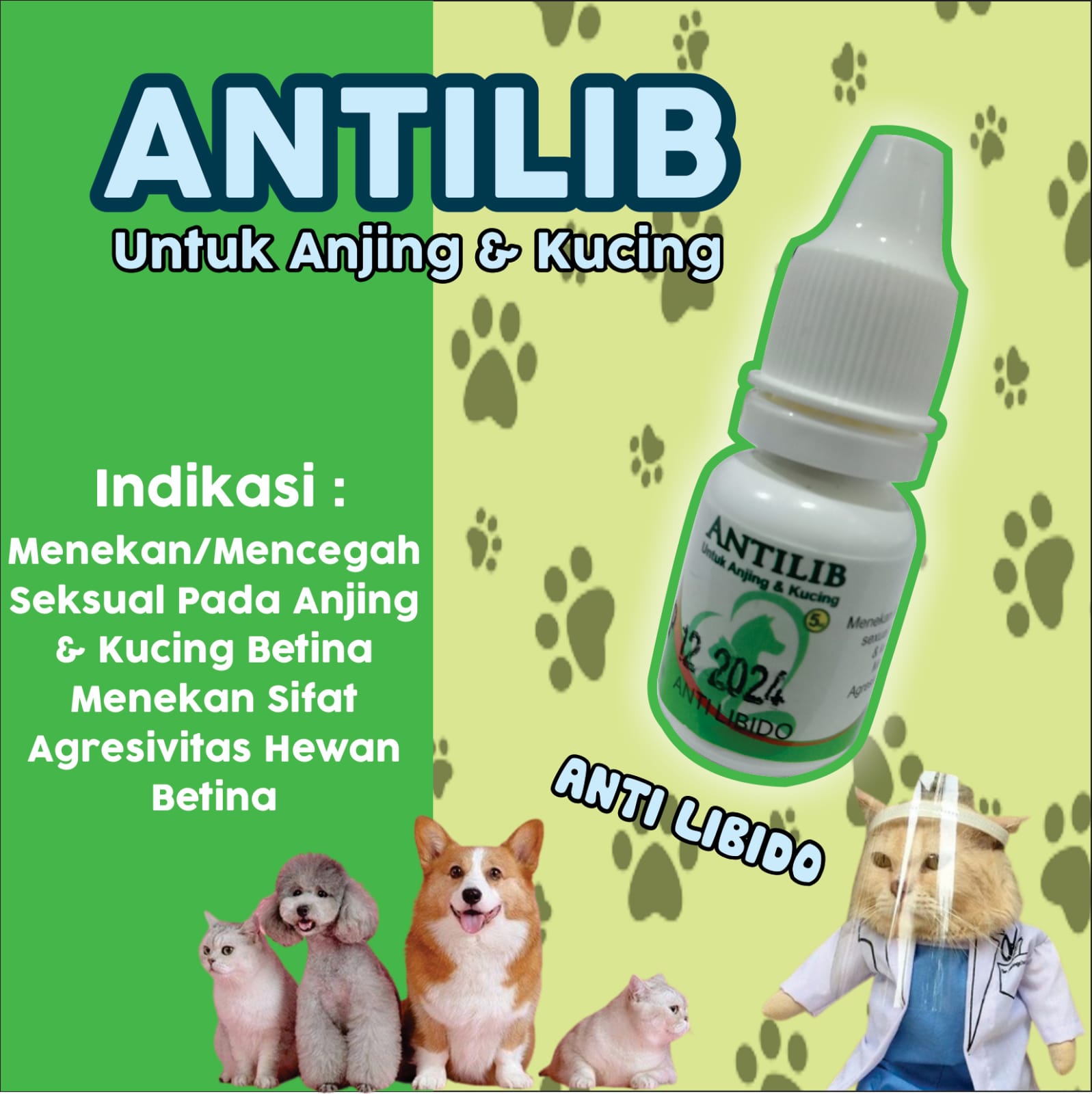 Antilib Obat Penurun Birahi Kucing Anjing JANTAN 5 Ml Meyer Menurunkan  Libido Anjing Kucing | Lazada Indonesia