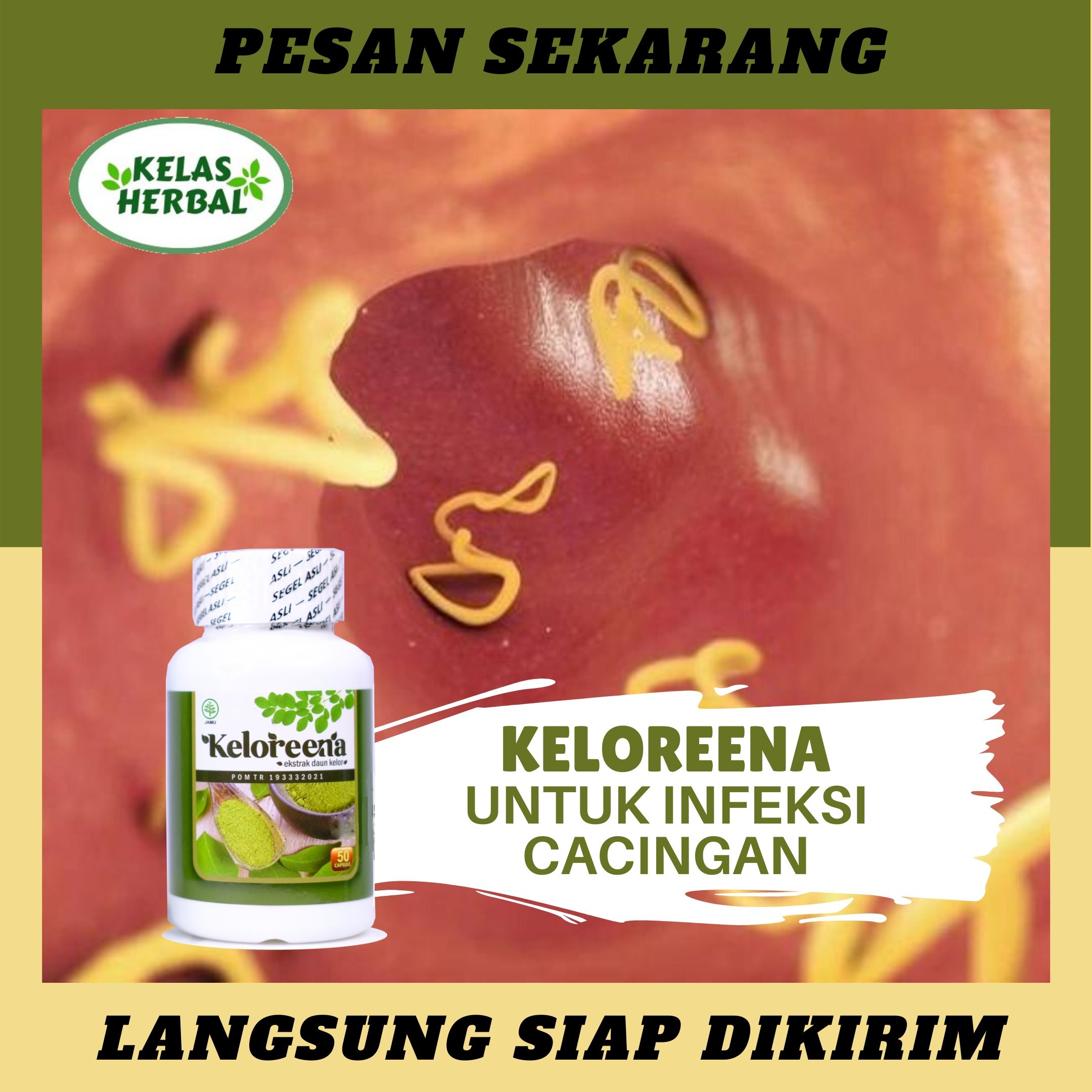 Obat Herbal Cacingan Obat Infeksi Cacing Obat Perut Cacingan Obat Alami Cacingan Untuk Dewasa Dan Anak Anak Obat Cacing Di Usus Obat Cacing Pipih Obat Cacing Gelang Obat Gejala Cacingan Obat