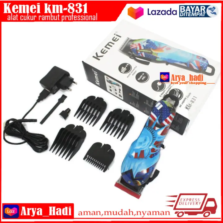 kemei km 831