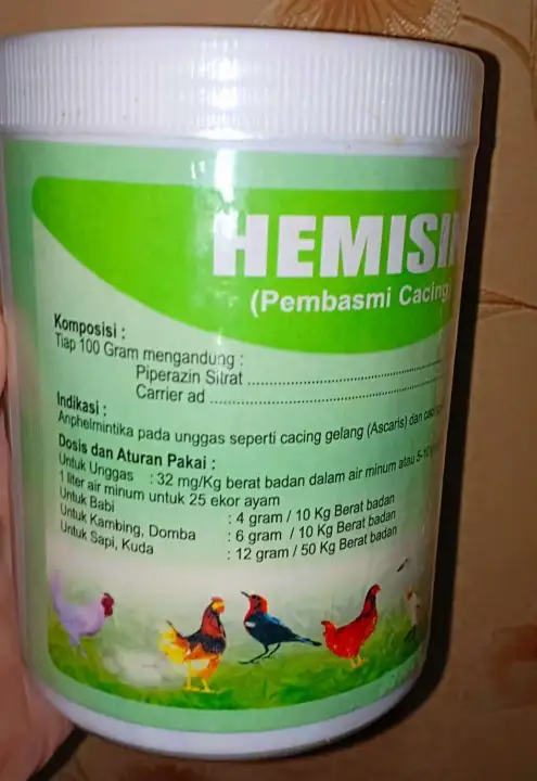 85+ Gambar Hewan Ternak Unggas HD Terbaru