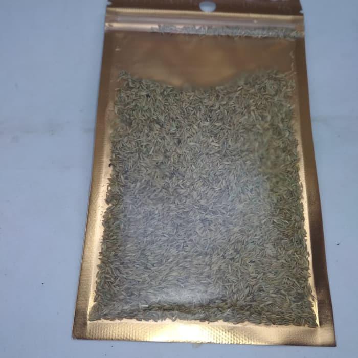 Hair grass seed/bibit tanaman aquascape aquarium