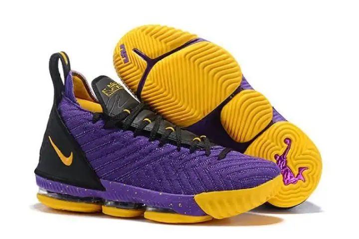 lebron james 16 lakers