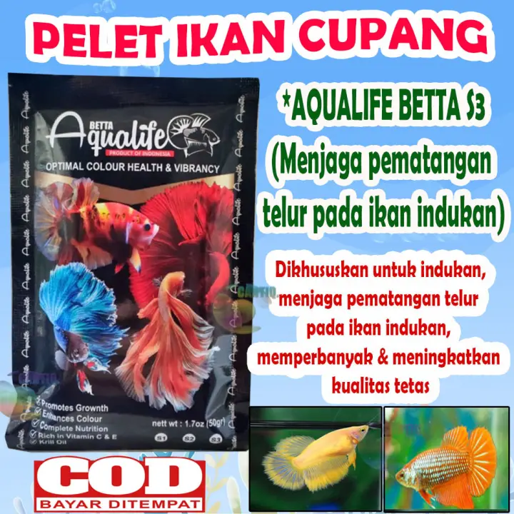 Pelet Ikan Cupang Aqualife Betta Food S3 Pakan Cupang Aqualife Khusus Untuk Indukan Menjaga Pematangan Telur