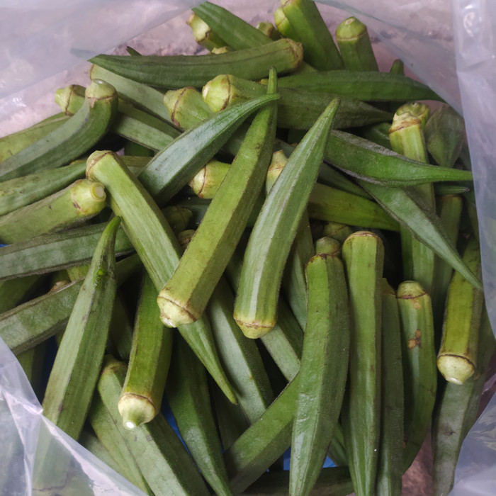 BINDI | Lazada Indonesia