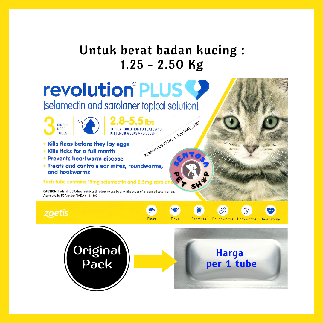 Revolution best sale untuk kitten