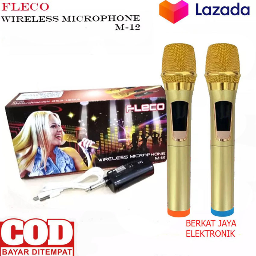 HARGA PROMO!! Microphone wireless FLECO M12 Mic Karaoke Double Mikrofon