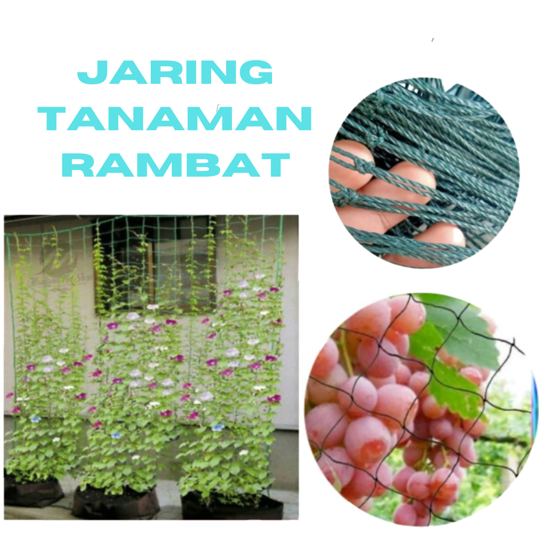 1 METER JARING TANAMAN RAMBAT TALI TERALIS NET RAMBATAN CLIMBING NET