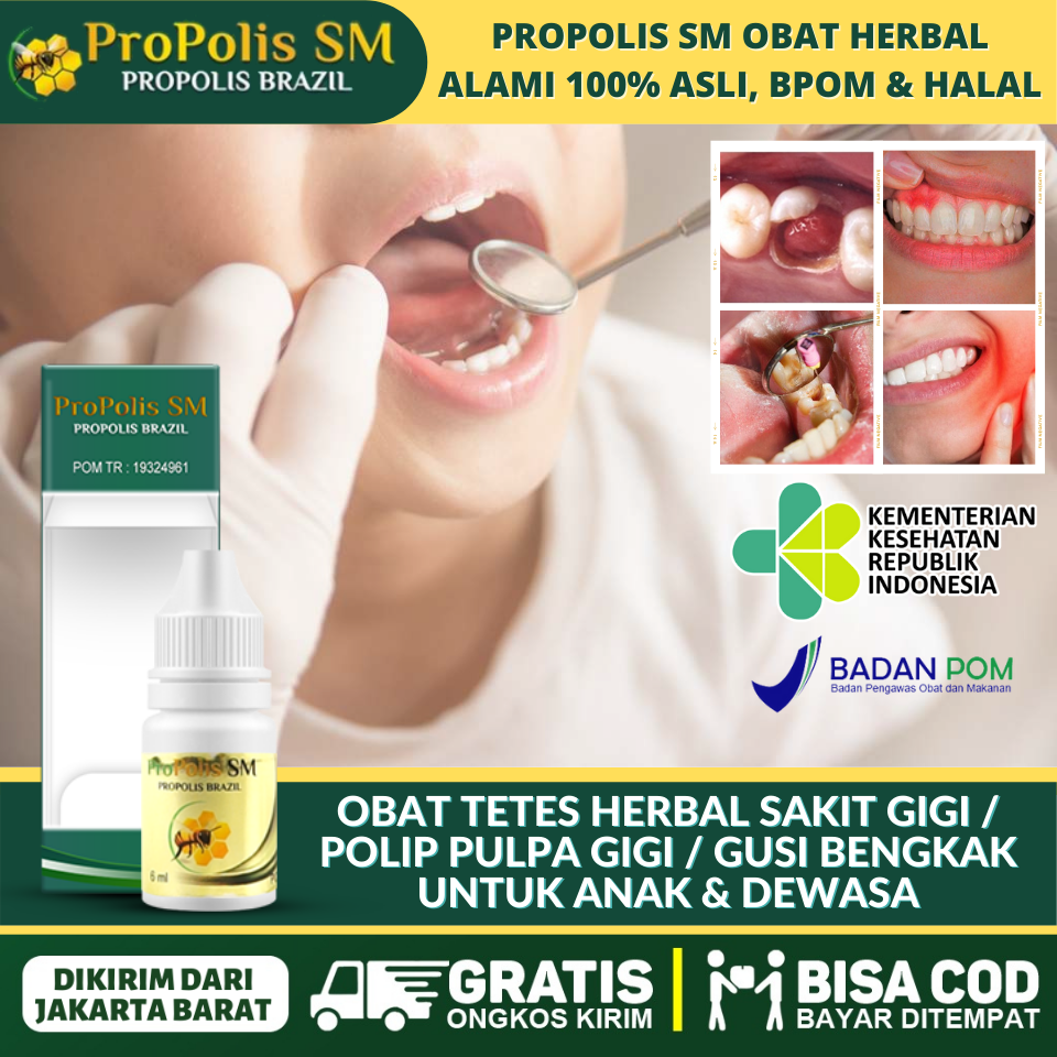 obat sakit gigi bolong alami di malaysia