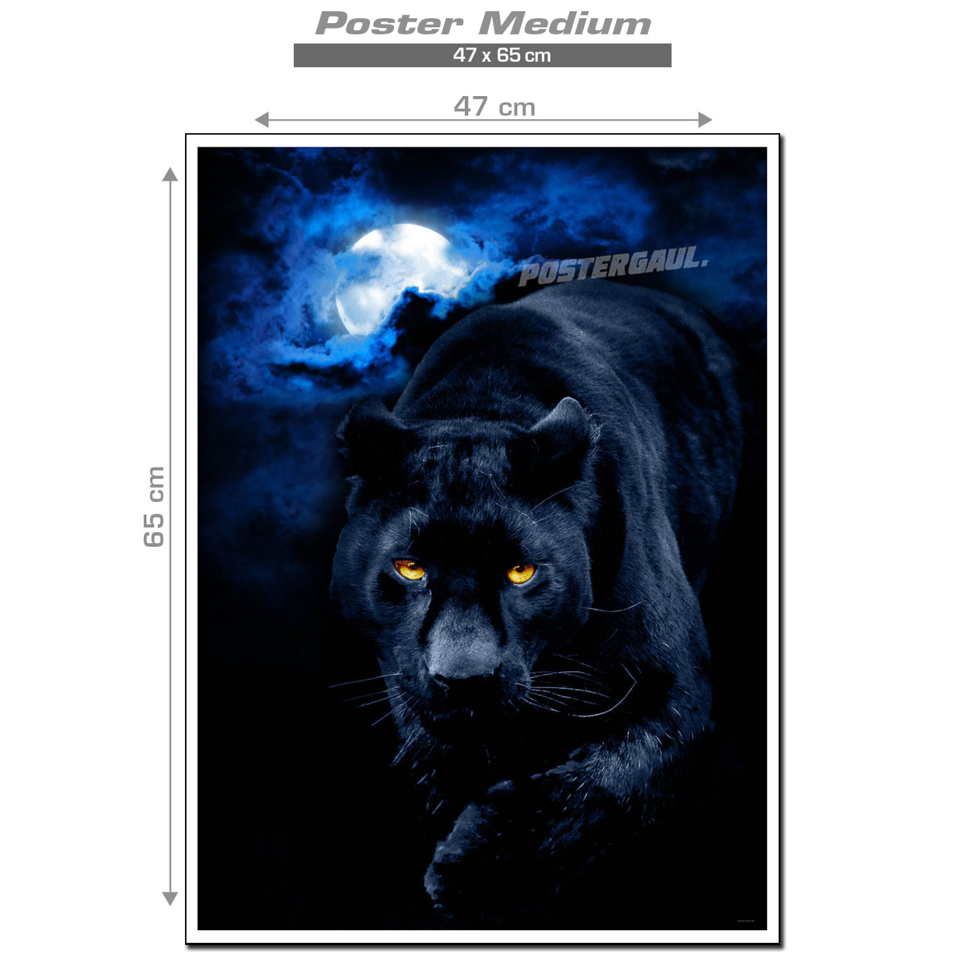 Poster Medium Fauna Harimau Kumbang Fjp35 Ukuran 47 X 65 Cm Lazada Indonesia