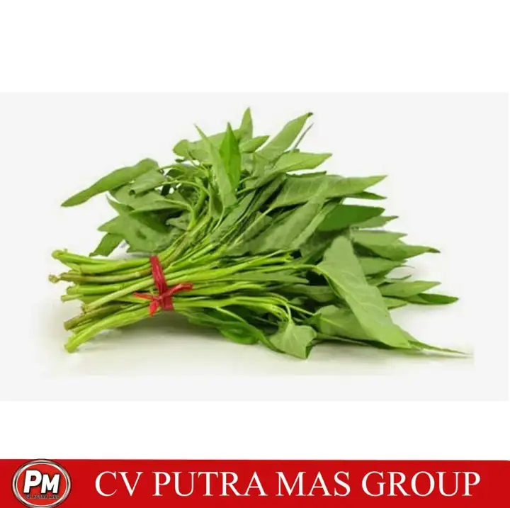 Jual Benih Bibit Sayur Sayuran Hidroponik Kangkung Ecer Paket Sayuran Organik Murah Lazada Indonesia