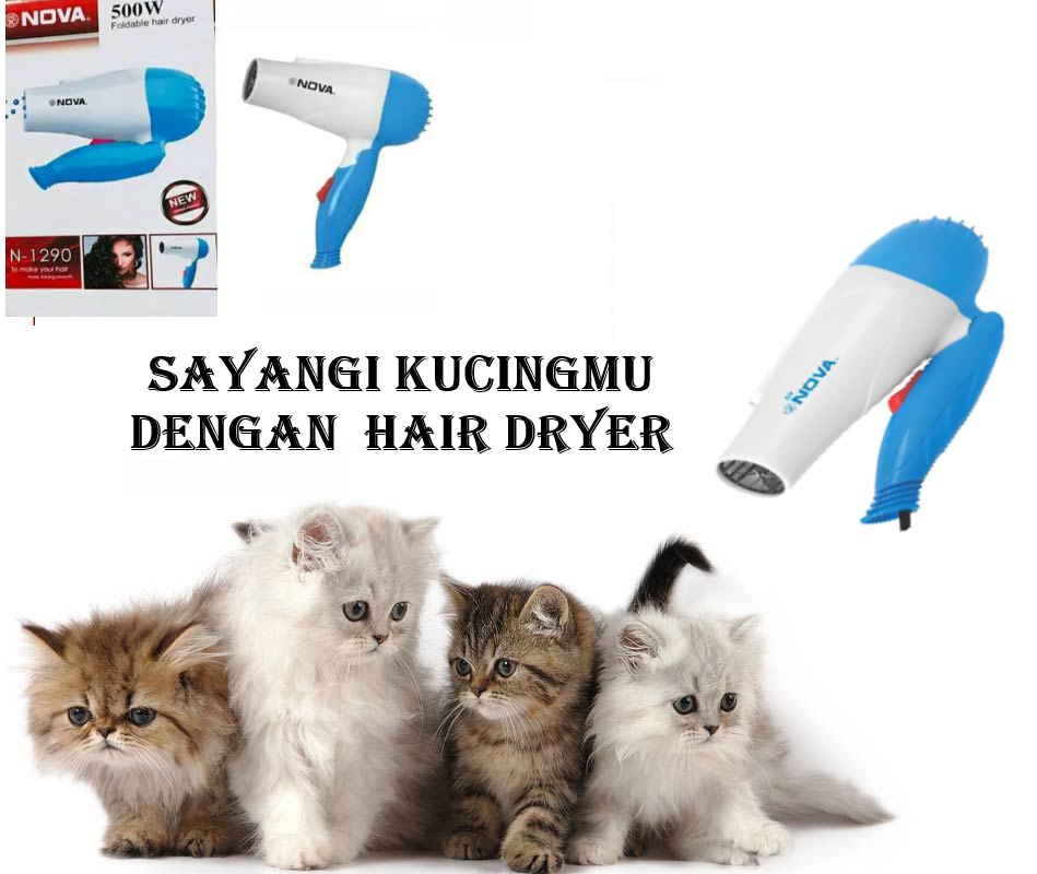 HAIR DRYER HEWAN - PENGERING BULU KUCING ANJING SEHABIS GROOMING - suksesbersama