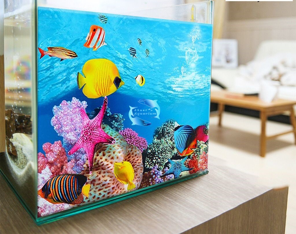 75 Wallpaper Bergerak Aquarium My