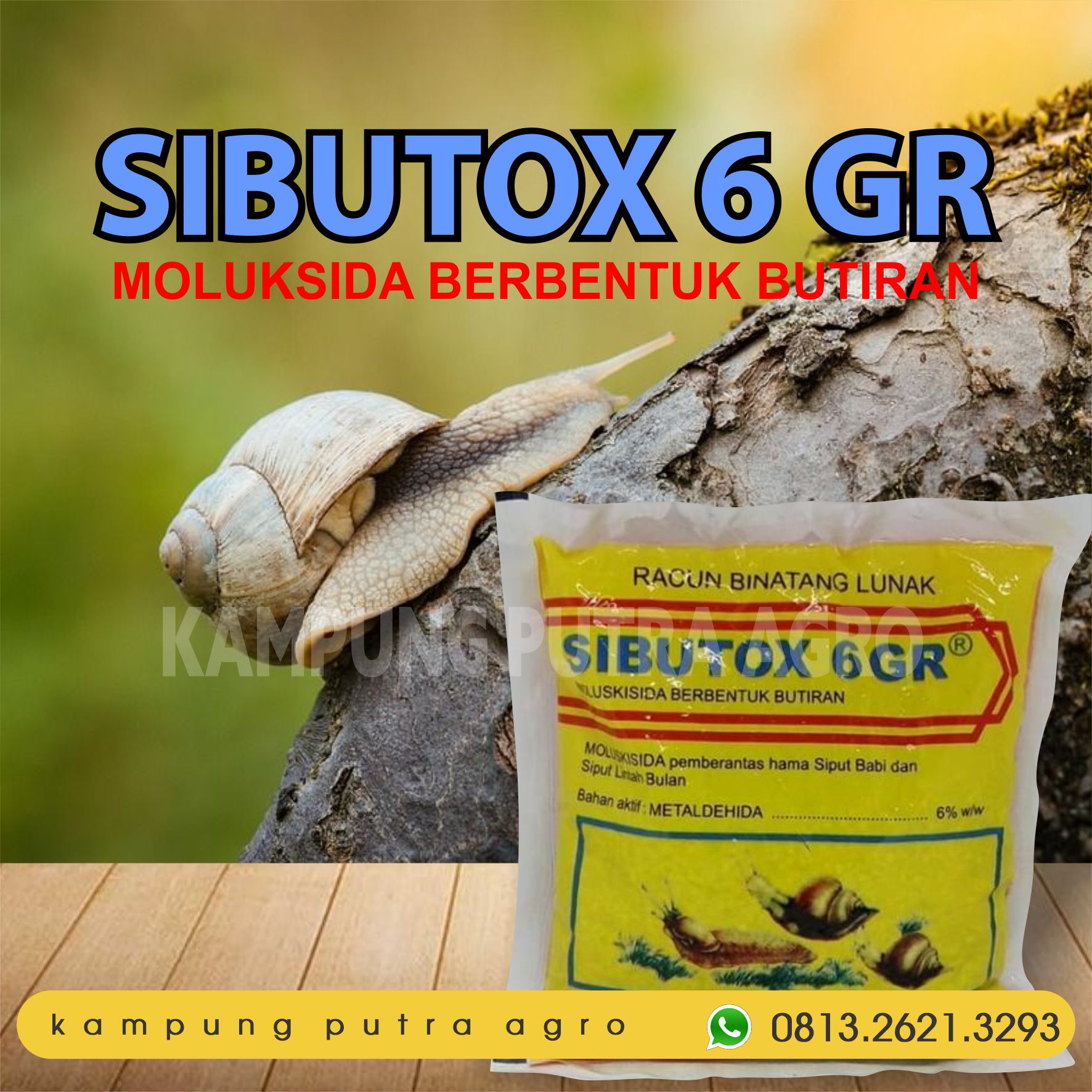 Jual Siput Keong Terbaru Lazada Co Id