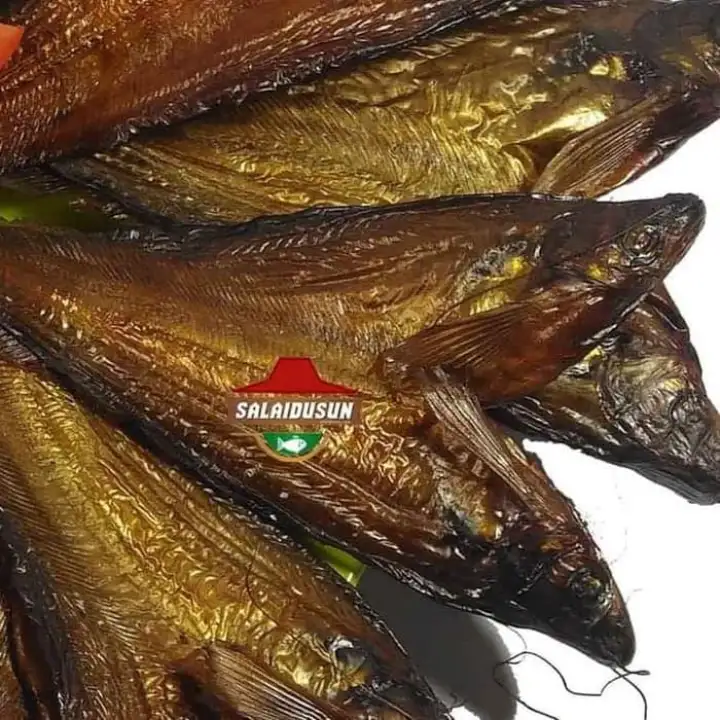 Paling Berkualitas Dan Terlaris Ikan Salai Asap Lais Selais Asli Lazada Indonesia