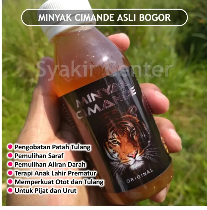 Minyak Pijat Bayi Minyak Urut Cimande Asli Bogor Minyak Balur Cimande Asli Minyak Pijat Bayi Prematur Lazada Indonesia