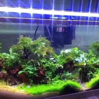 Lampu Aquarium Aquascape Yamano P1000 Led Original Ukuran 90 Sd