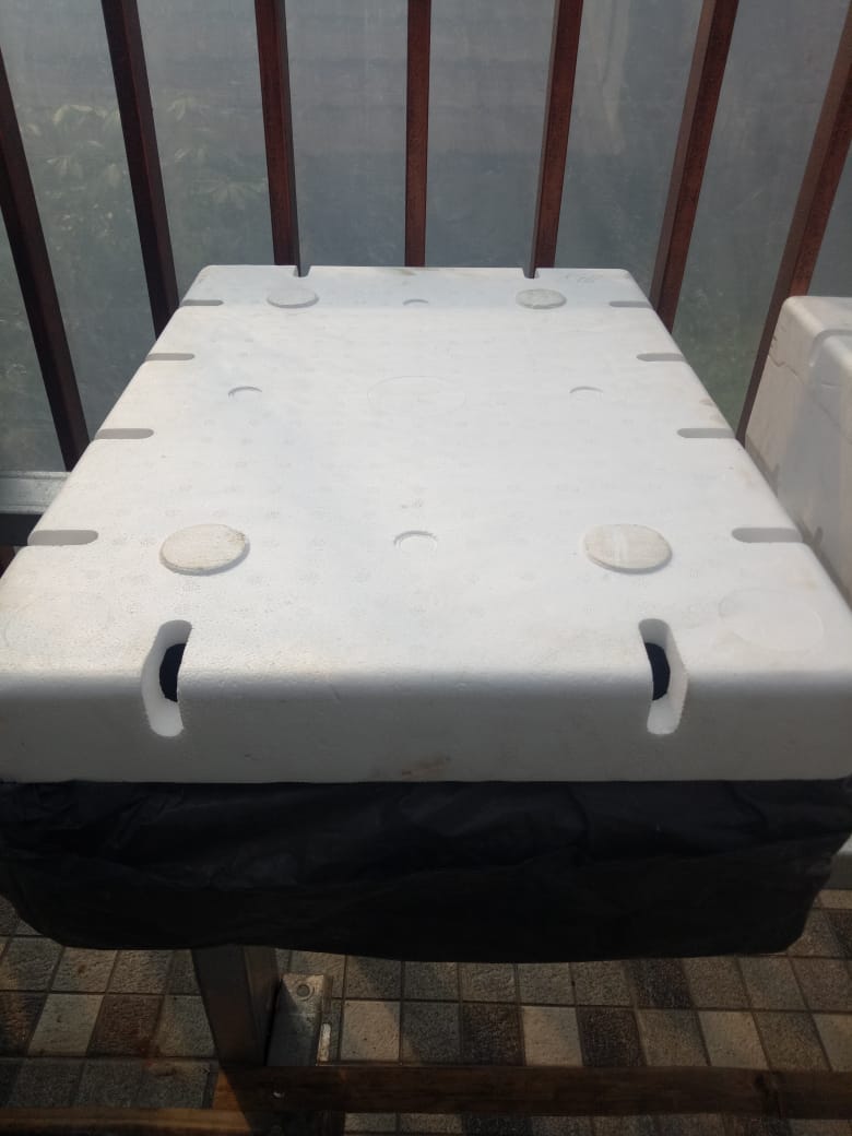 Sterofoam Box Anggur Siap Pakai Media Tanam Hidroponik Lazada Indonesia