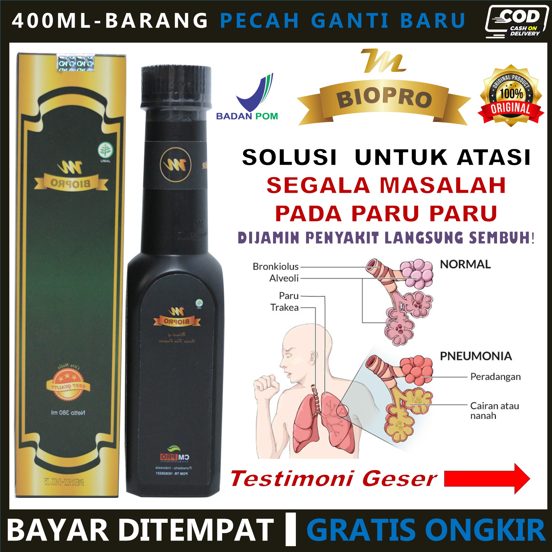 Obat Paru Paru Basah Pneumonia Paru Paru Untuk Perokok Infeksi Paru Paru Radang Paru