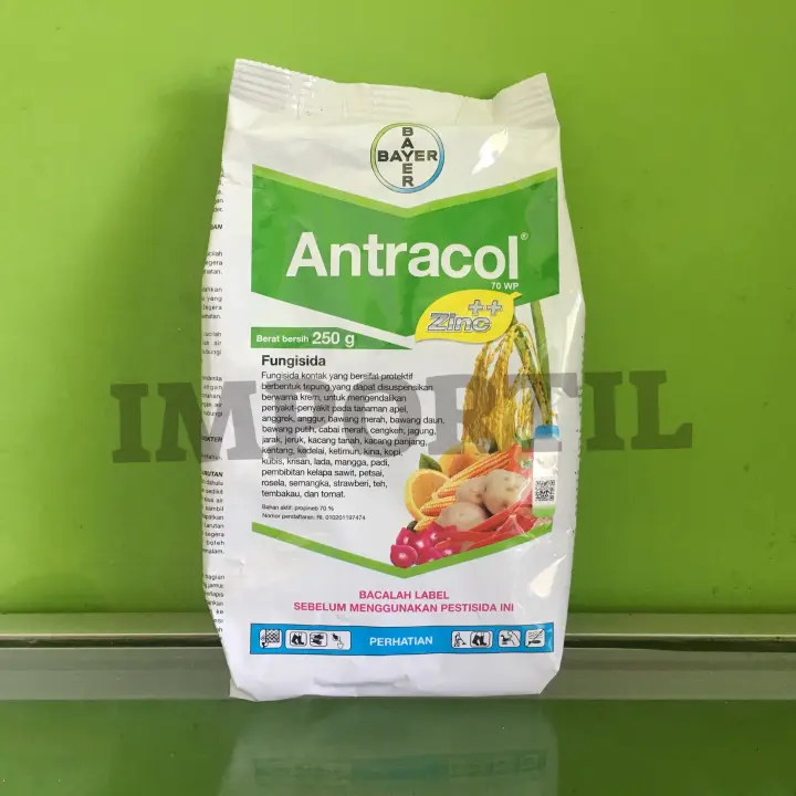 Antracol 70 Wp 250 Gram Lazada Indonesia