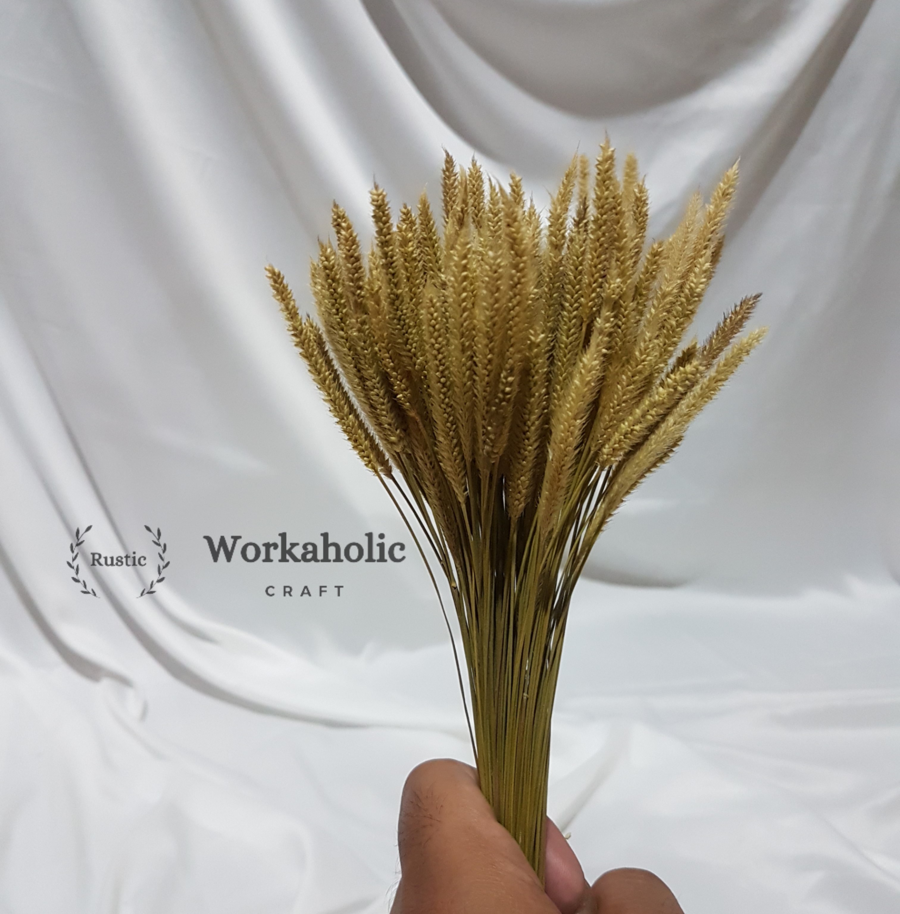 Pornografik xabarlar