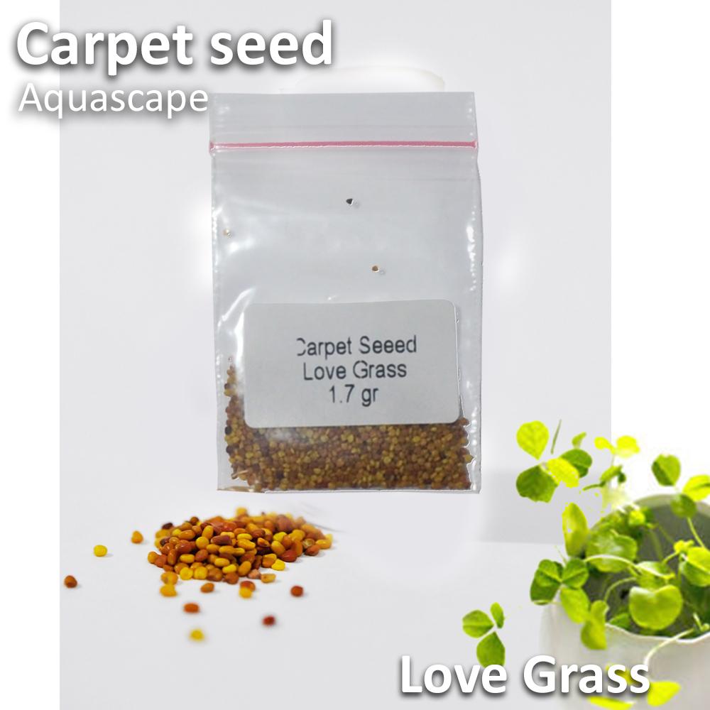 Jirifarm Bibit Benih Carpet Karpet Seed Love Grass 1.7gr Aquascape