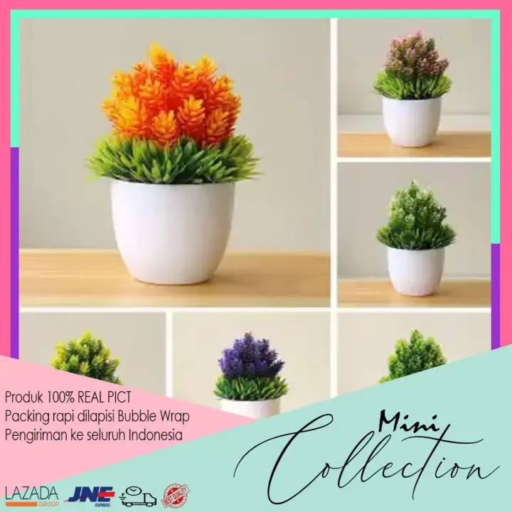 Minicollection 217 Pot Tanaman Bunga Dekorasi Rumah Tanaman Hias Murah Import Tanaman Bunga Hias Plastik Lazada Indonesia