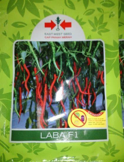 TERBARU DAN HARGA GROSIR Benih Cabe Merah Keriting LABA F1 isi 1750