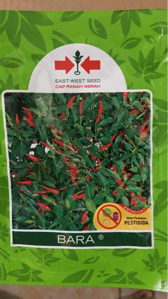 BEST SELLER Bibit cabe rawit BARA PANAH MERAH - xjleJxqu