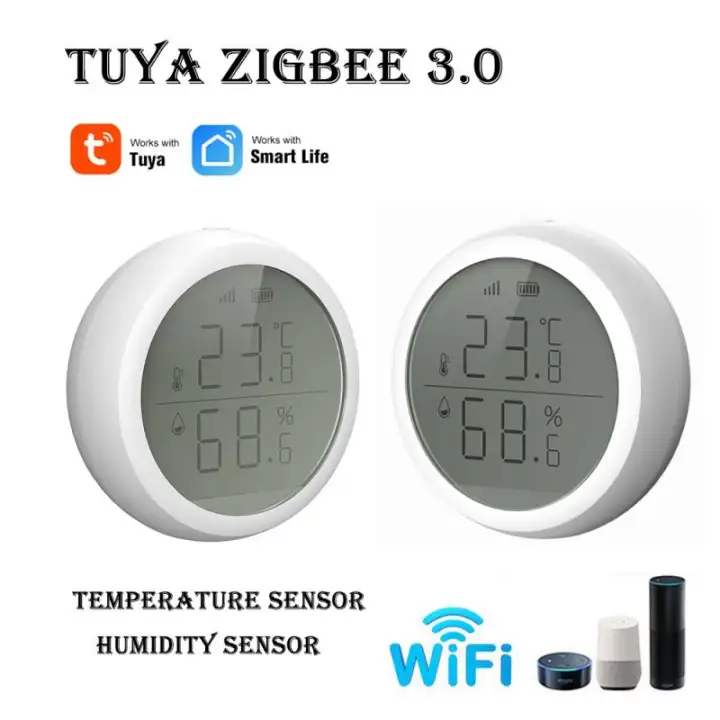 wifi thermometer google home