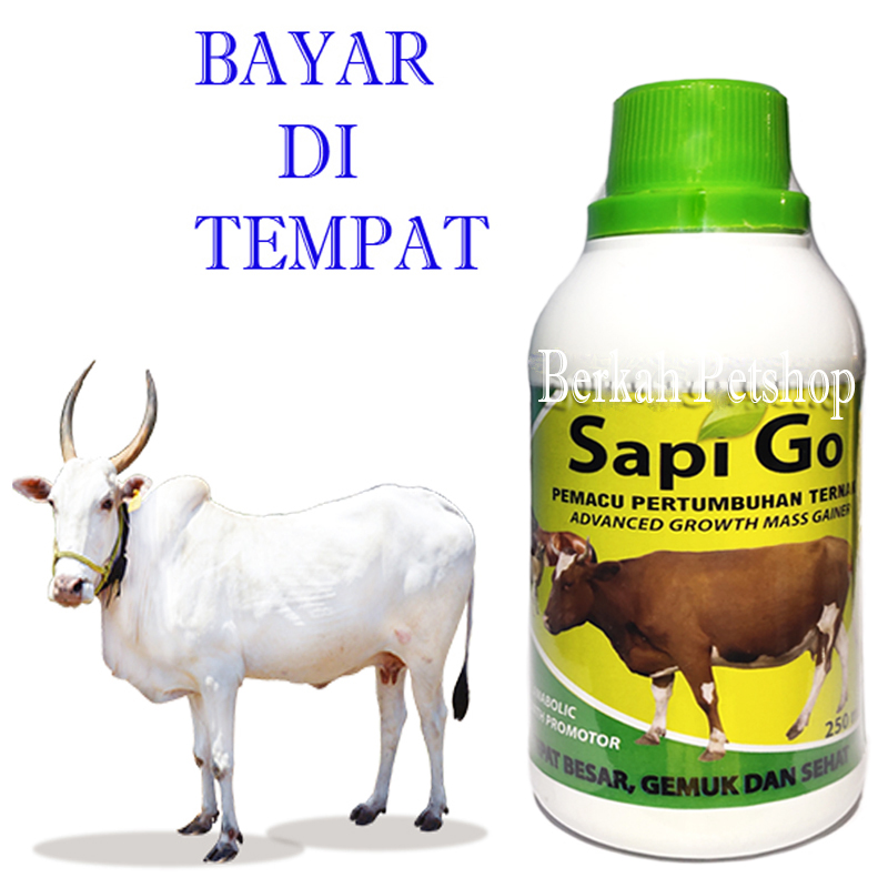 Obat Sapi Penggemuk Badan Kerbau Kambing Kuda Sapi Go Lazada Indonesia