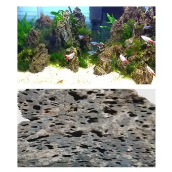 1 Kg Batu Aquascape Aquarium Garang Stone Eragon Lazada Indonesia