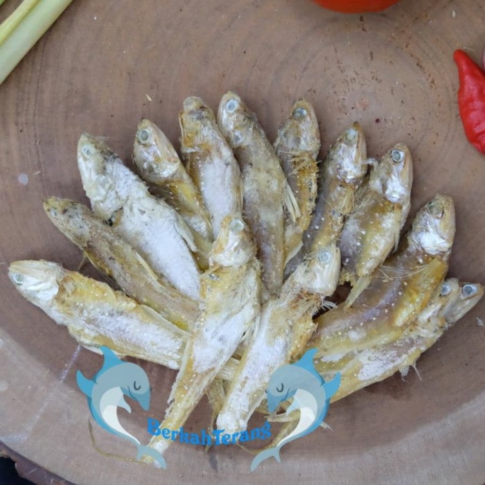 ikan Asin bulu ayam Asin 500gr | Lazada Indonesia