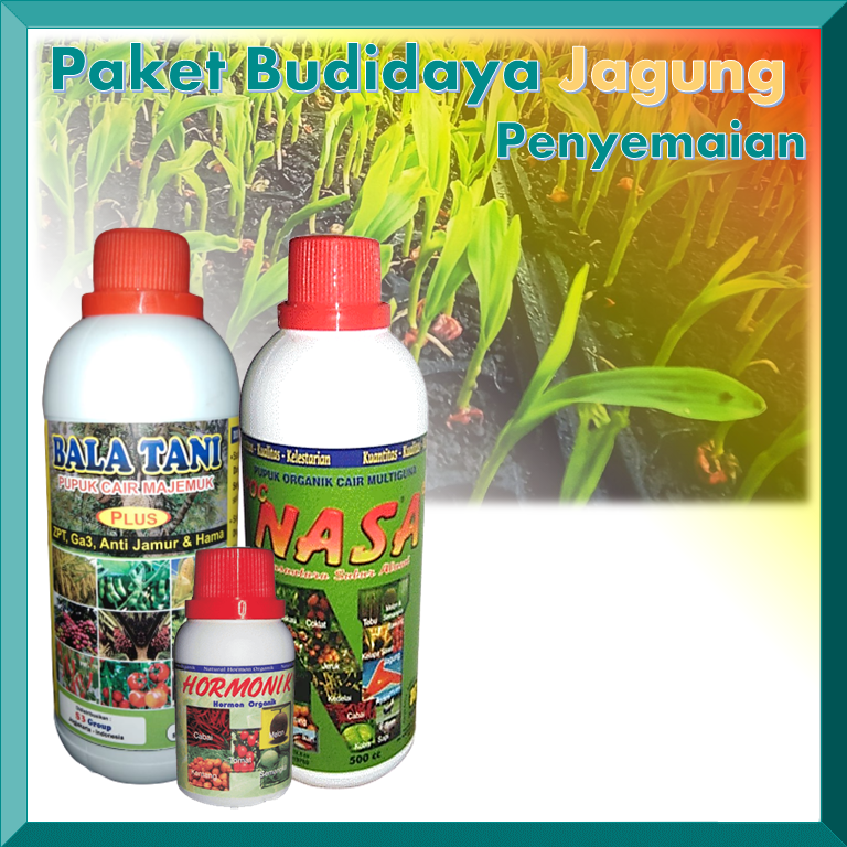 Paket Penyemaian Tanaman Jagung / Pupuk Jagung / Pupuk Untuk Tanaman ...