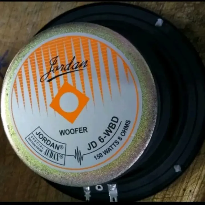 speaker jordan 12 inch