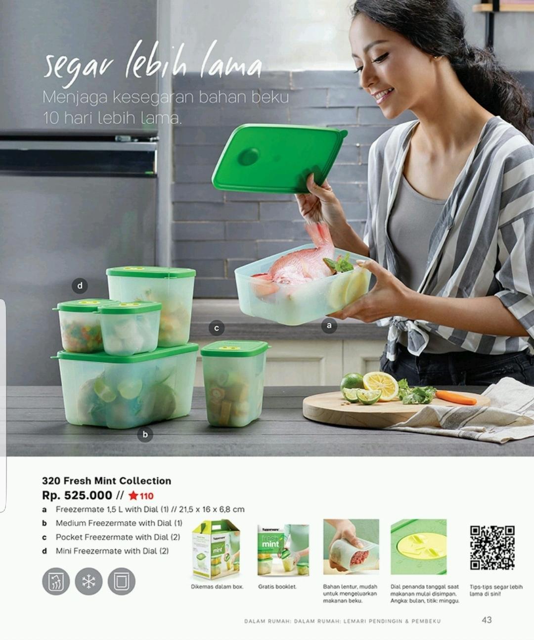 Tupperware Medium Freezermate WIth Dial Green 1pcs. Source · Tupperware - Freshmint Collection