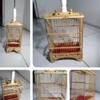 Sangkar Burung Pleci Membeli Jualan Online Kandang Dengan Harga