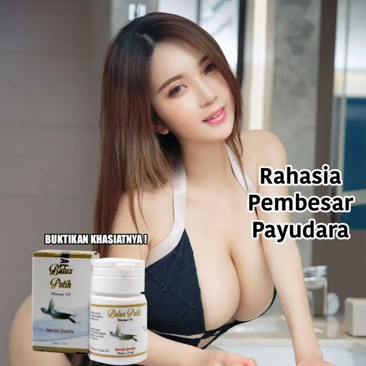 Cod Terlaris Minyak Bulus Putih Asli 100 Original Bpom Membesarkan Payudara Pembesar Payudara Pengencang Payudara