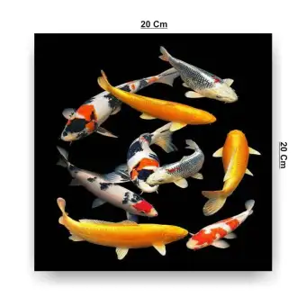 Unduh 93 Gambar Ikan Dua Dimensi Hd Terbaik Gambar Ikan