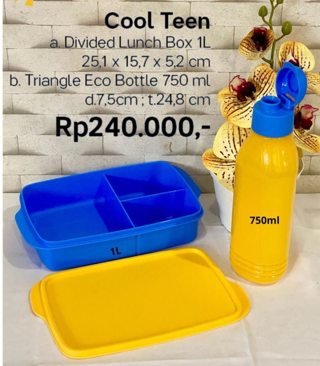 Jual TUPPERWARE Cool Teen Lunch Box Divided Lunch Box 1pcs di