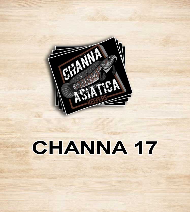 Jual Stiker Original Bang Fish - Channa Homestay - El Barca - Auranti -  Kab. Pringsewu - Skj - Aquatic