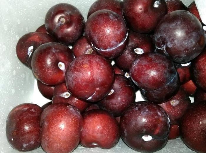 BUAH PLUM ASLI 4.5KG