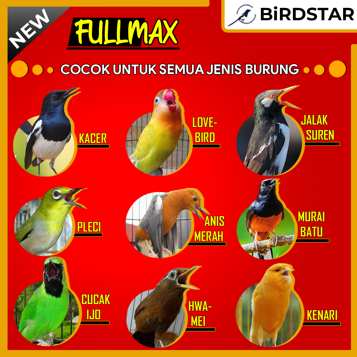 99 Gambar Semua Jenis Unggas Gratis