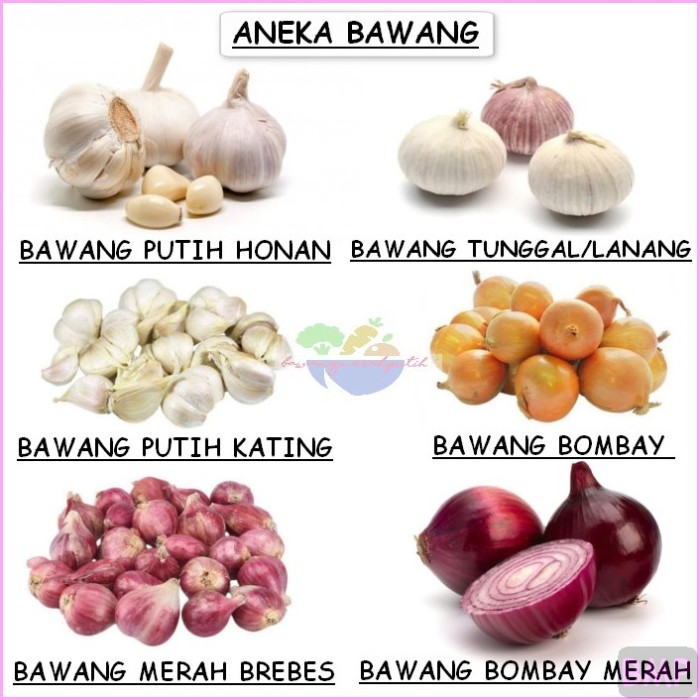 bawang-putih-kating-cutting-honan-fresh-1-2-kilogram-500g-lazada