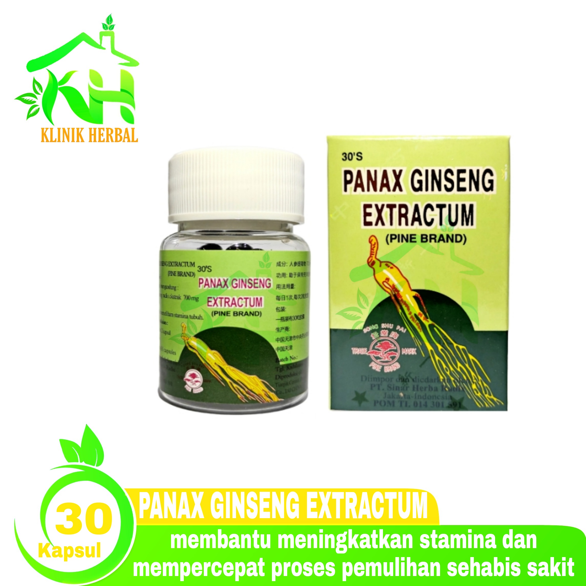 Panax Ginseng Extractum Kapsul ( Pine Brand ) - Penambah Energi Tubuh ...