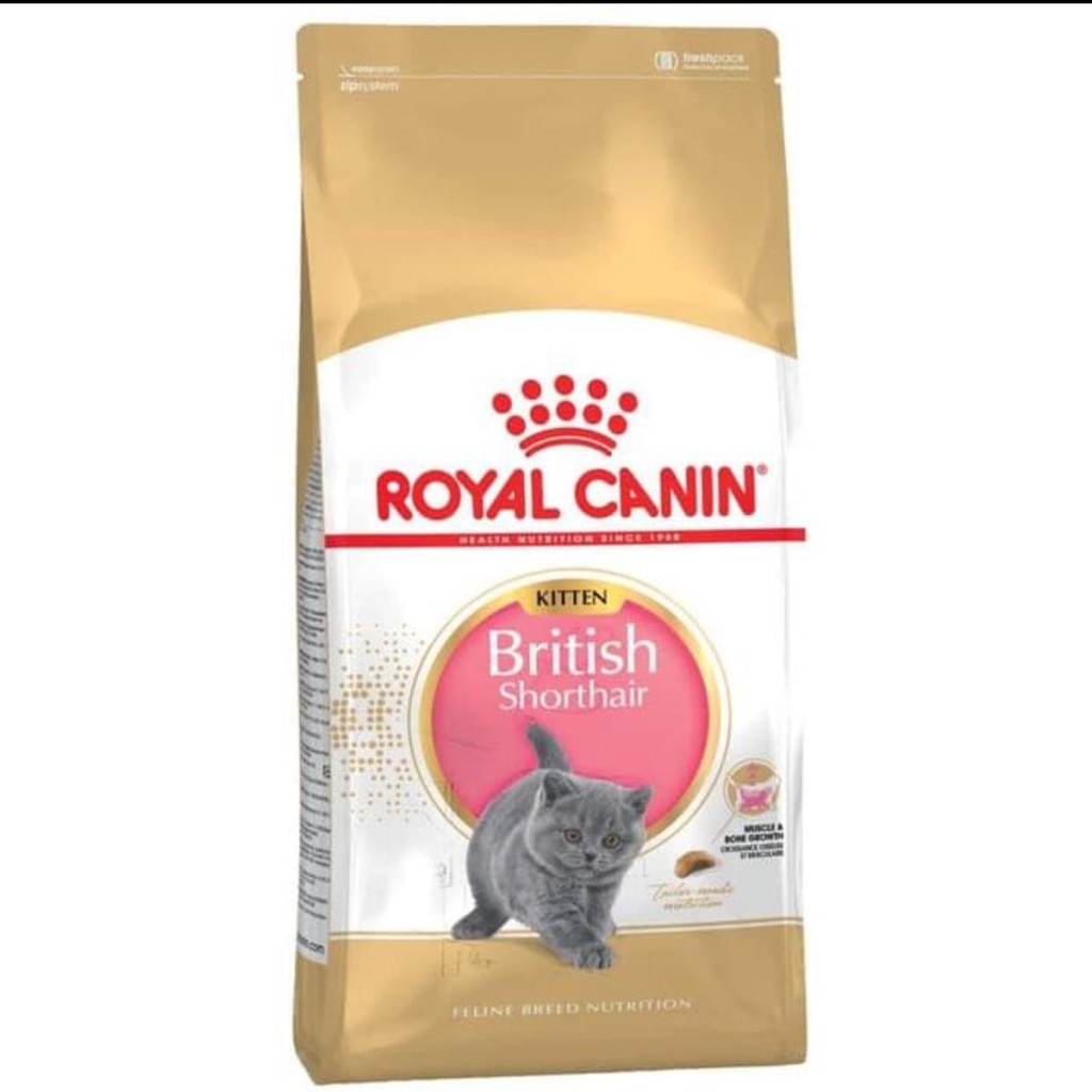Jual Royal Canin Kering British Terbaru Lazada Co Id